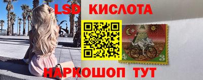 крисы Малоярославец