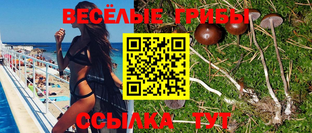 Псилоцибиновые грибы мухоморы  Вход с VPN  закладка  Вязьма  Галлюциногенные грибы ЛСД 